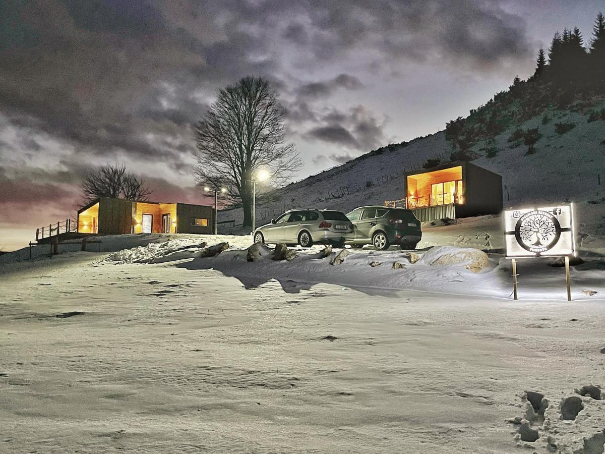 Sycamore Retreat フンダタ エクステリア 写真